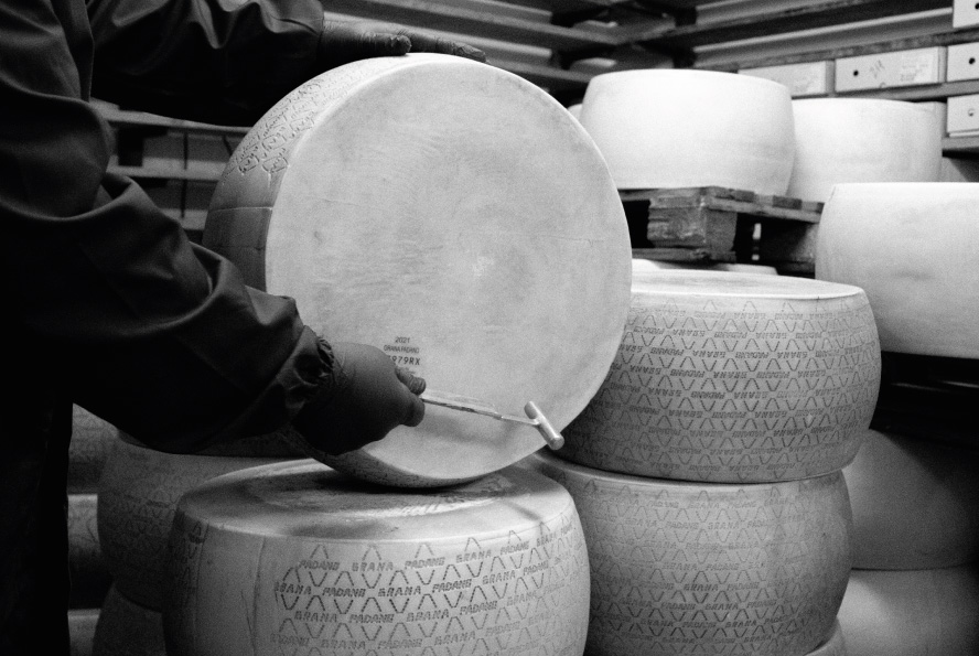Foto in bianco e nero di alcune forme di Grana Padano