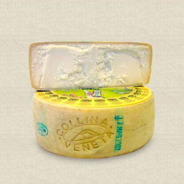 Forma di formaggio Collina Veneta tagliata a metà
