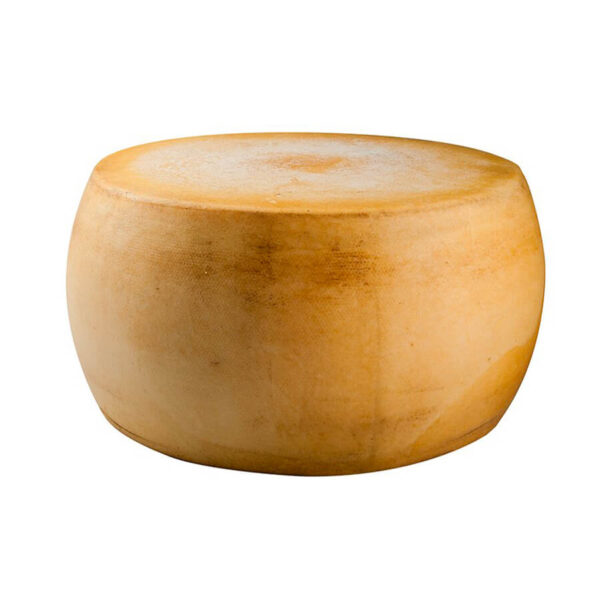 Forma intera di formaggio Duro Italiano
