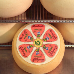 Forme di formaggio Fior di Valle in cella frigorifera
