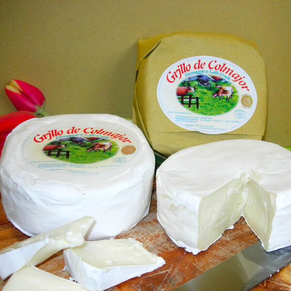 Pezzi di formaggio Grjllo de Colmajor confezionati