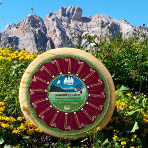 Forma di formaggio Imperatore delle Dolomiti