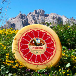 Forma di formaggio Inticina in mezzo ad un prato sotto una montagna