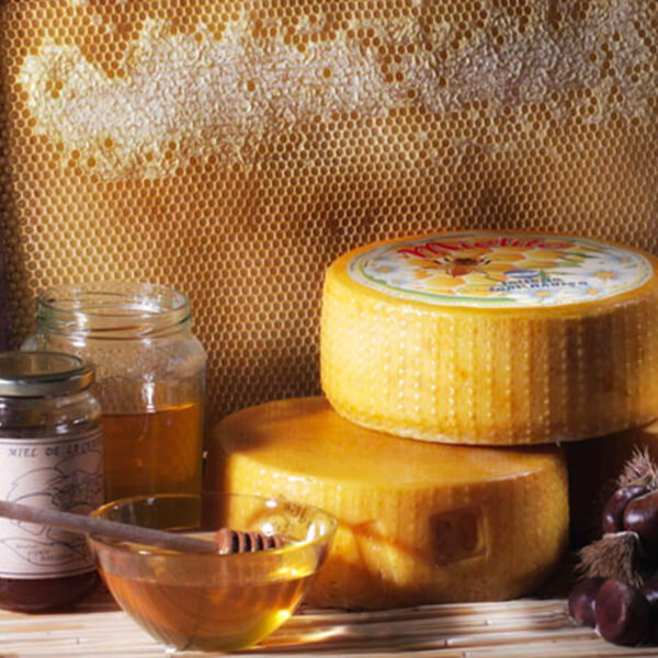 Forme di formaggio Mielito di fianco a dei barattoli di miele