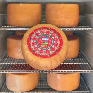 Forme intere di formaggio Pecorino Stagionato dell'isola in una cella frigo