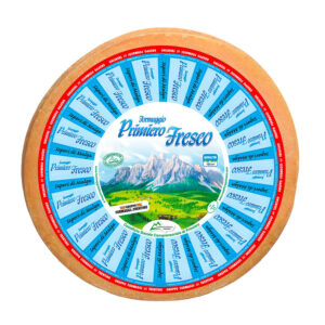 Forma di formaggio Primiero Fresco