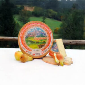 Forma intera di formaggio Primiero stagionato