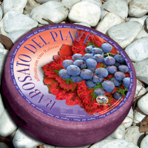 Forma di formaggio Rabosato del Piave