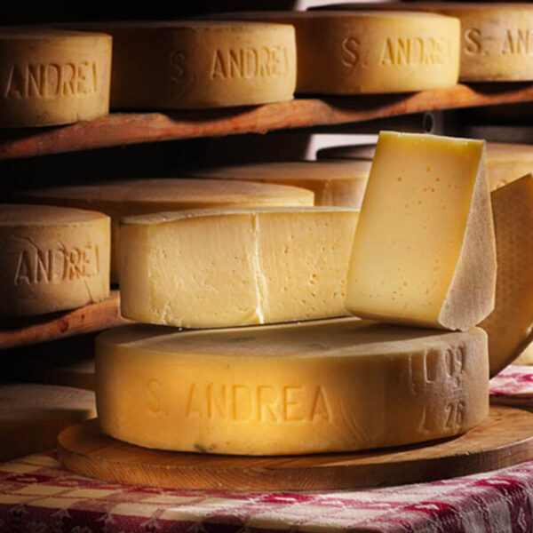 Forme di formaggio Sant'Andrea Dolce su dei ripiani