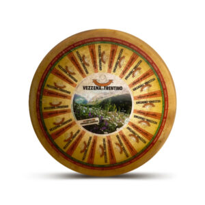 Forma di formaggio Vezzena di Lavarone