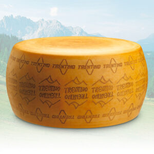 Forma intera di formaggio Trentingrana